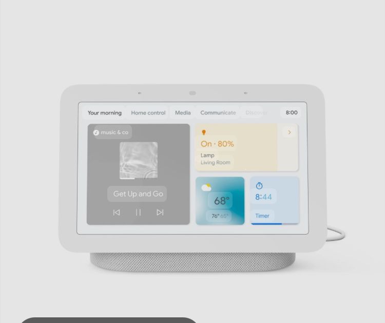 Google Home Nest