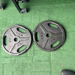 45 Lb Plates