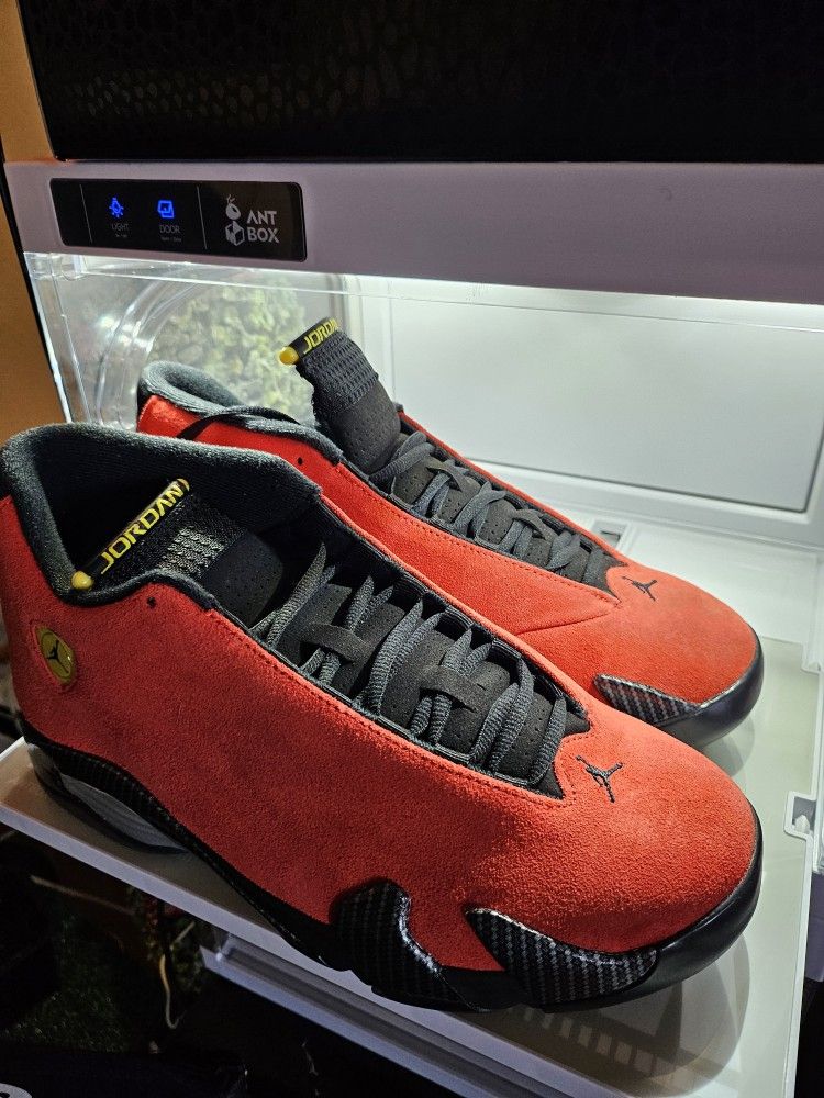 Jordan 14 Ferrari 9.5