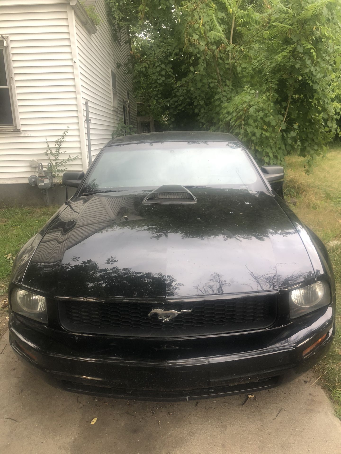 2008 Ford Mustang