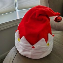 Dan Dee Holiday, Signing & Animated Hat