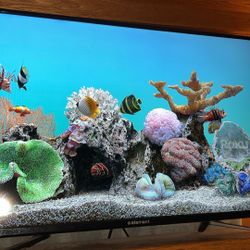 35in Element TV