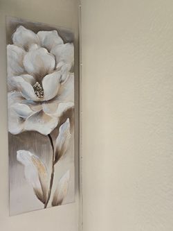 Set of 2 Canvases for $35