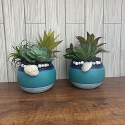 Succulent Beach Jars