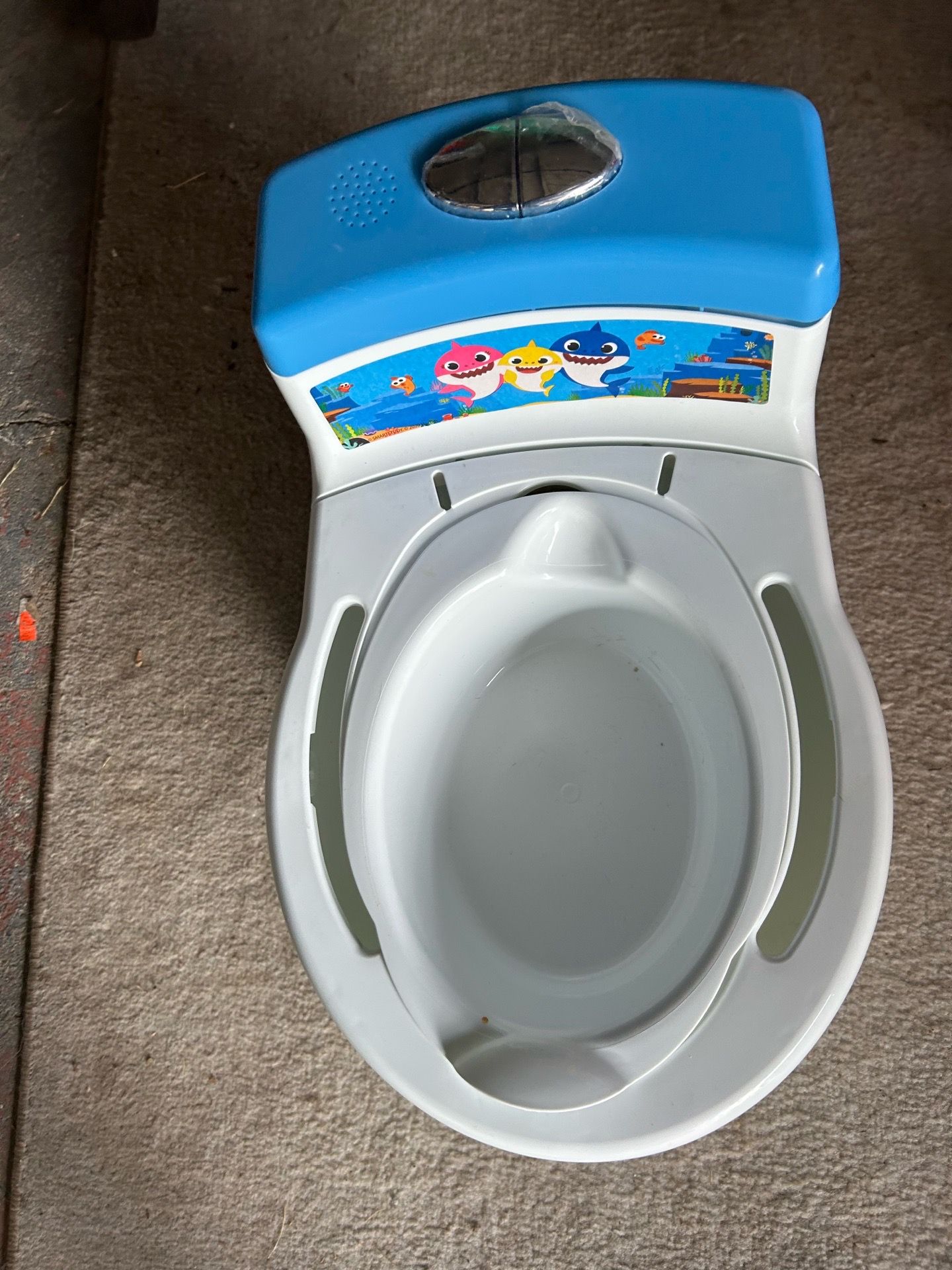 Mini potty