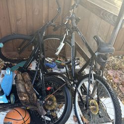 Stepper And Regular Bike Adult