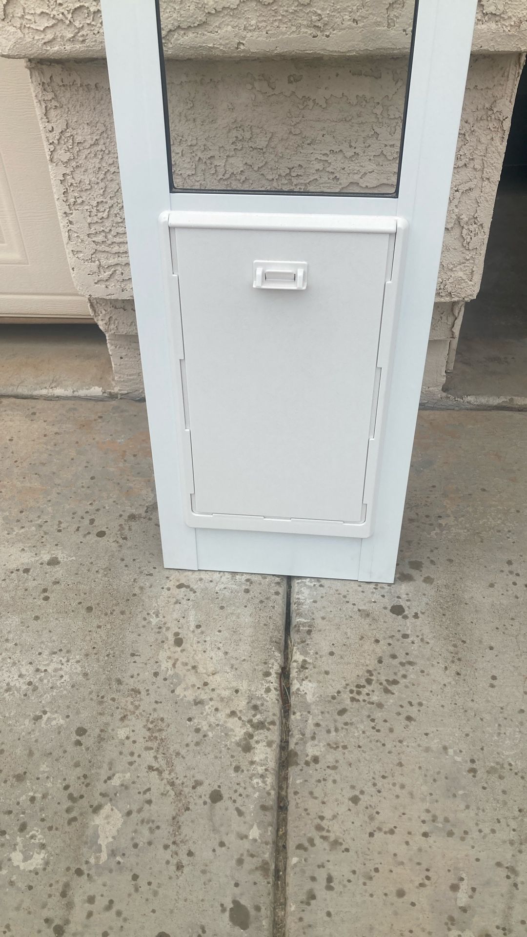 Dog Door New And Medium