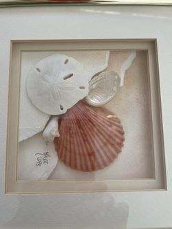 Framed Art, Real Shells .