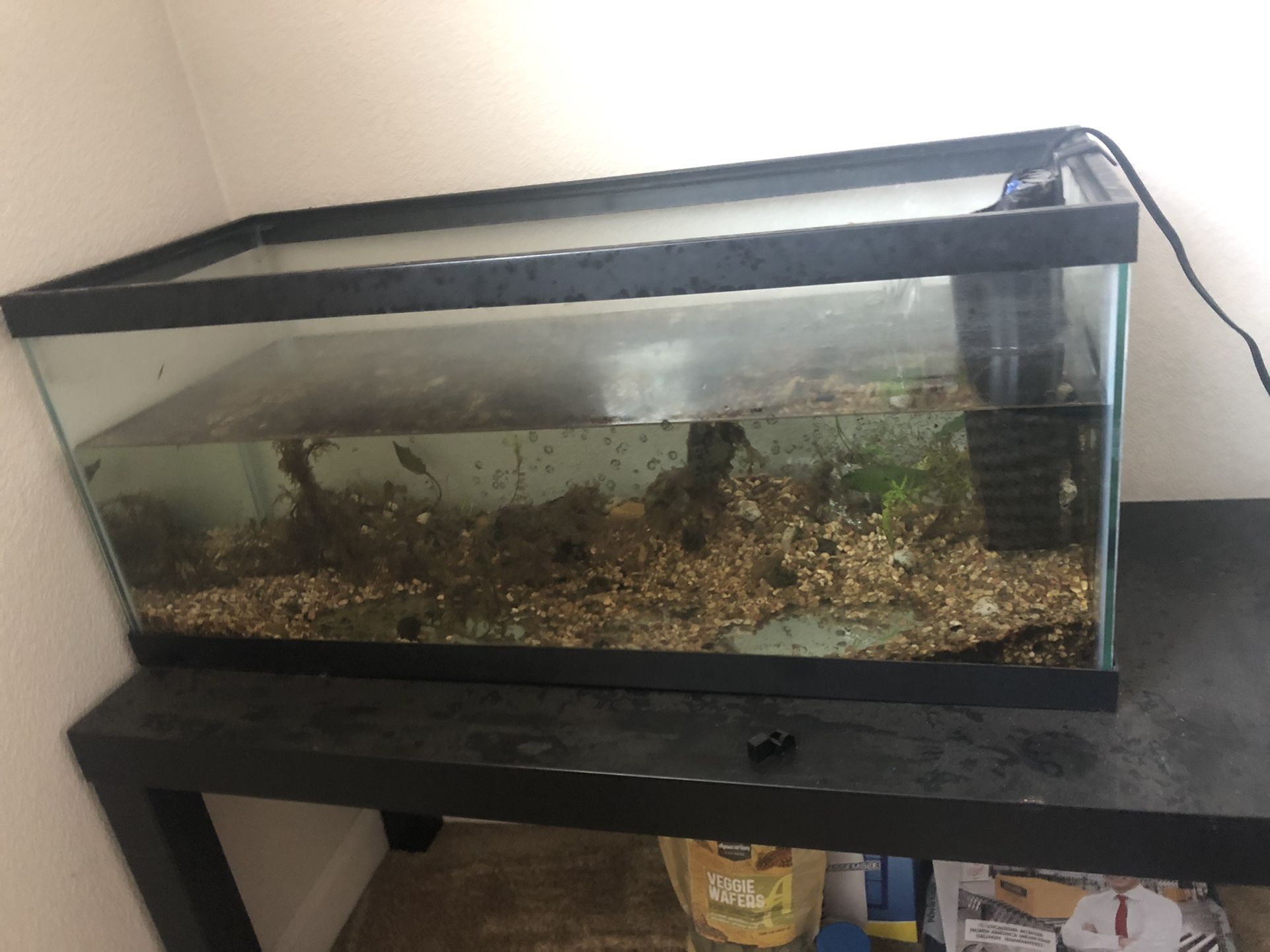 Aquatic Fish Tank