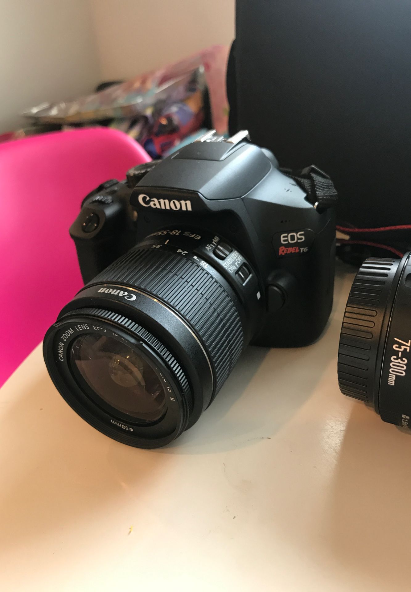 Canon EOS Rebel T6 + Accessories but missing battery charger