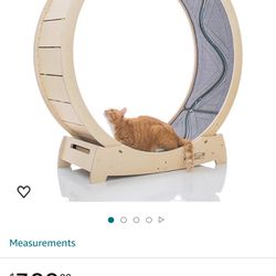 Cat Wheel
