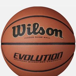Wilson 29.5" Evolution Basketball