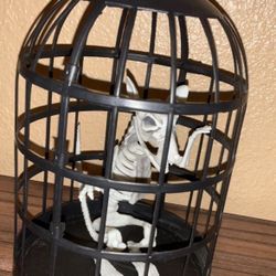 skeleton rat in cage 
