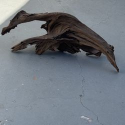 Driftwood Fish Tank