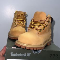 Toddler Timberland  Size 5.5