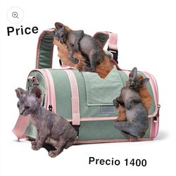 Cat bag for sphynx!