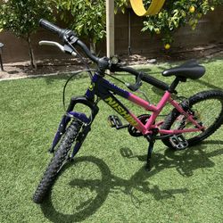 Girls Nishiki Bike 20” – Well Loved & Rides Great