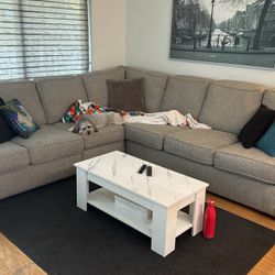 Grey Couch With Pull Out Bed 