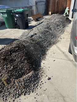 More free rocks first come first serve