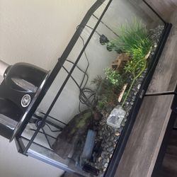 Aquatic Tank
