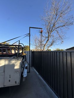 Gate And Fence Hinges 