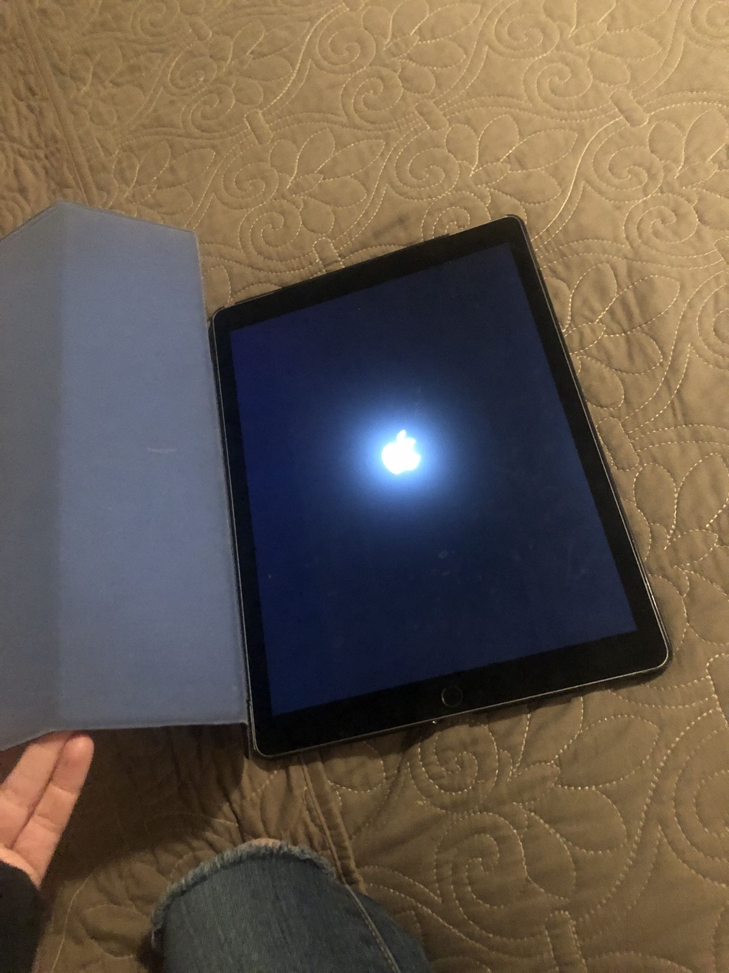 IPad Pro 12 Inch