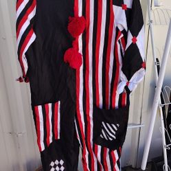 Medium Size Costume 