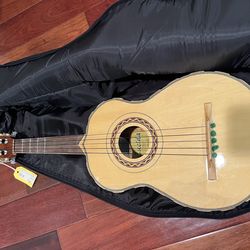 LUCIDA VIHUELA and GIG BAG GUITAR
