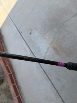 Diawa proteus rod with Seagate 30H