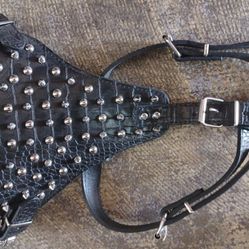 Studded Dog Harness, Collars, Leashes