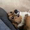 Ben