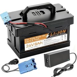 24V 8Ah Rechargeable Lithium-Ion Battery