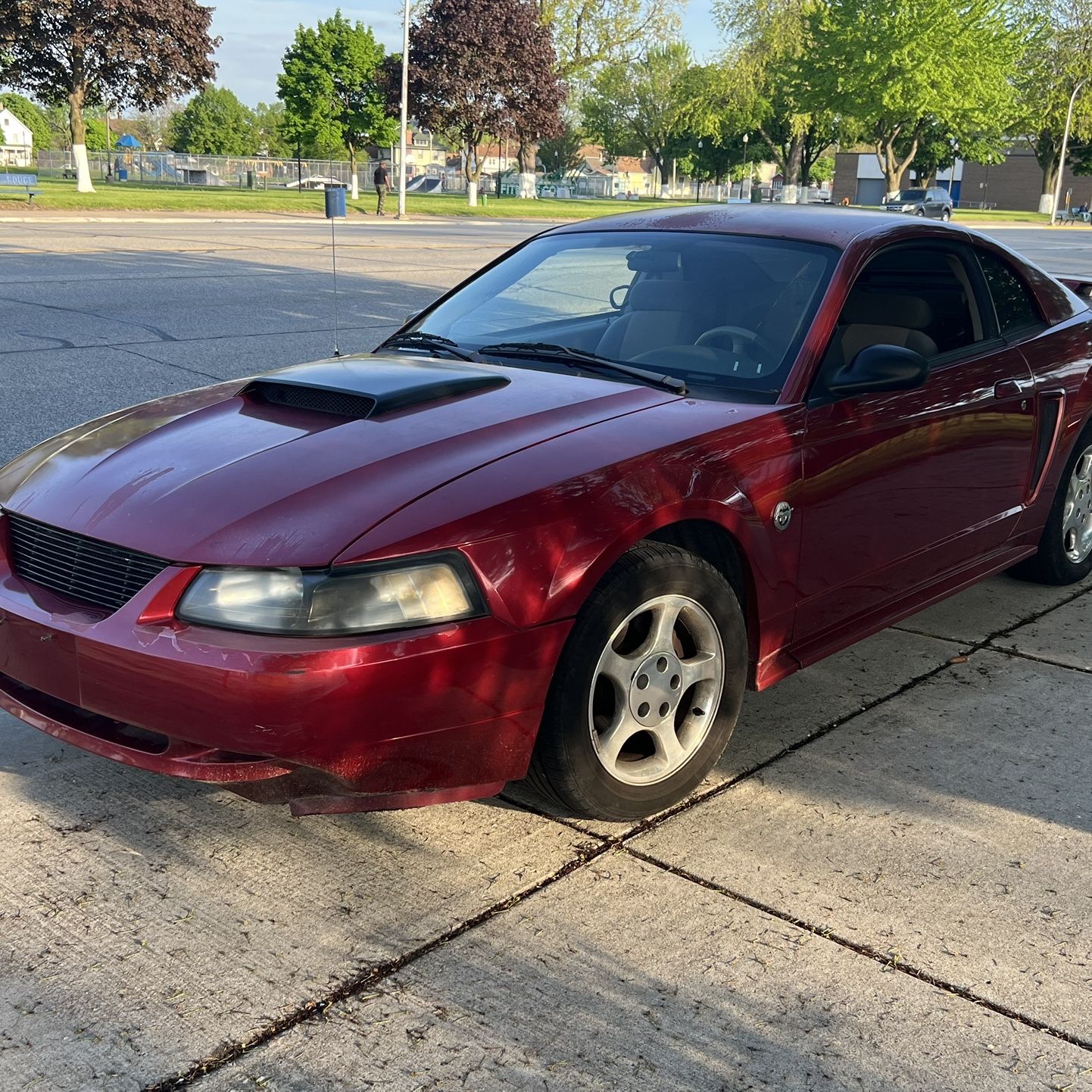 2004 Ford Mustang