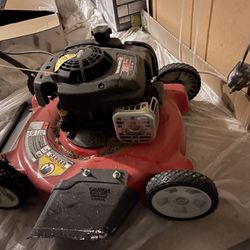 Lawnmower For Sale Used 1 Time Before I Hired A Gardener. Paid More Than 300 For It. 