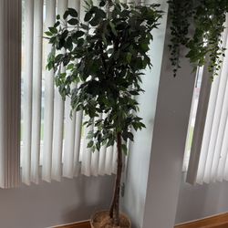 Faux Ficus Tree in Basket