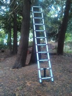 Wagner telascoping 14ft ladder