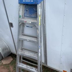 6ft Ladder 