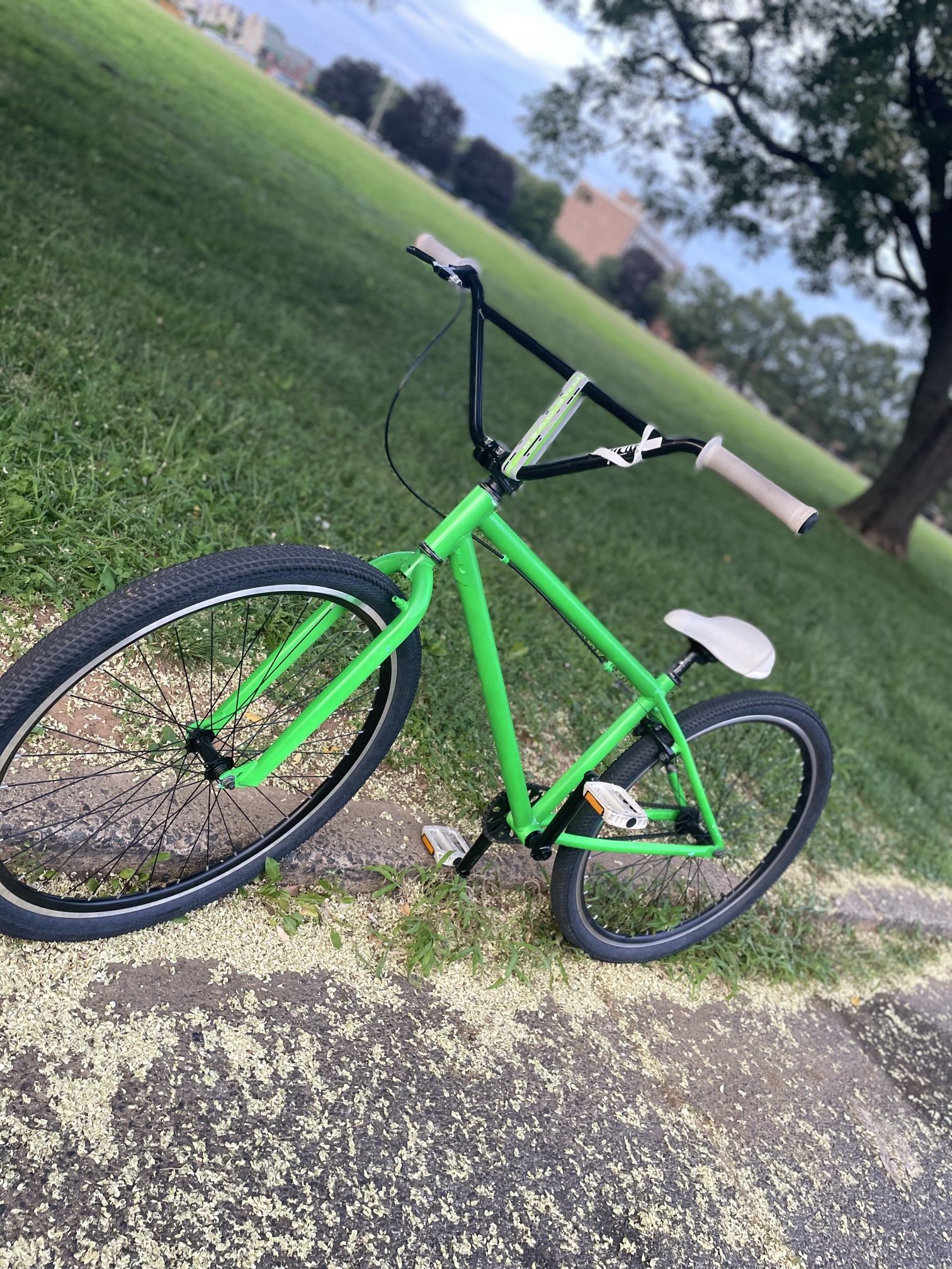 Gt BMX 29in Bike Green