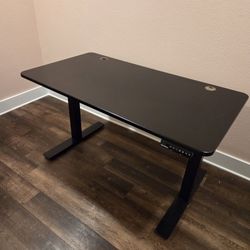 Standing Desk