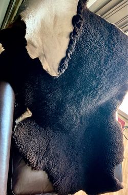 (3) Sheepskin Pelts From Napa Sawyers Tannery