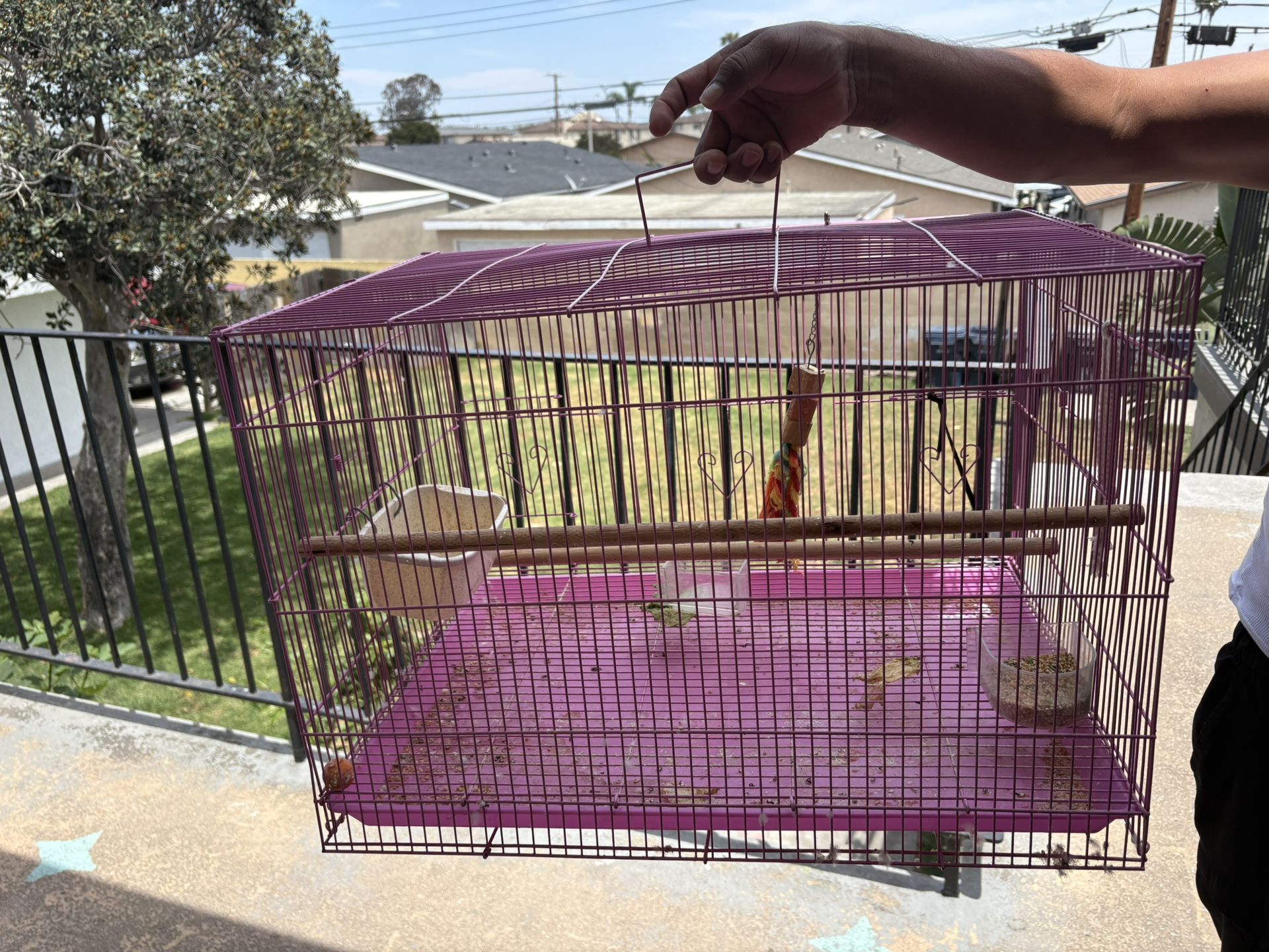 Bird Cage