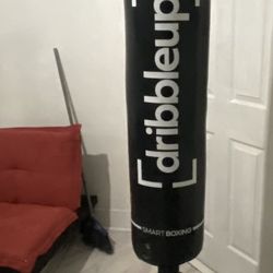 Punching Bag