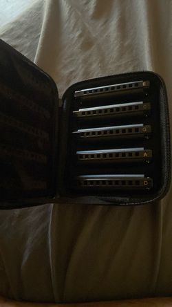5-Piece Harmonica Set with Zipper Case