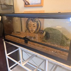 Reptile enclosure tank