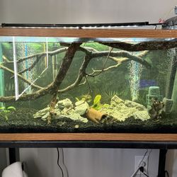 Fish Tank For Sale 