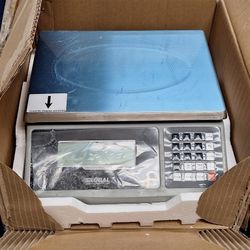 Global Scale