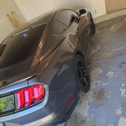 2019 Ford Mustang GT