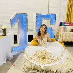Quinceañera Dress For Sale 