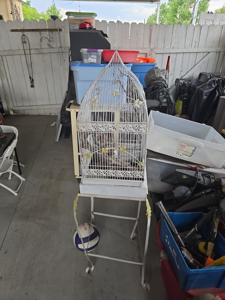 Birdcage