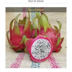 Dragon Fruit Cutting 